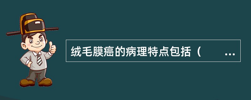 绒毛膜癌的病理特点包括（　　）。