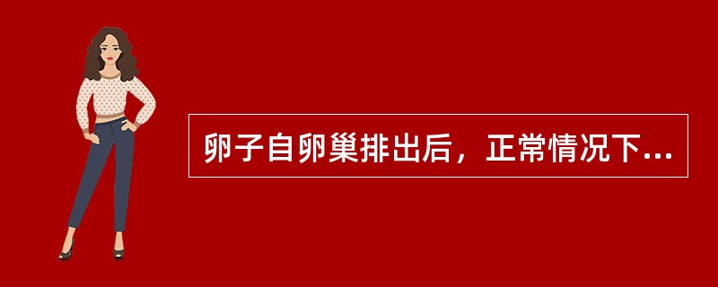 卵子自卵巢排出后，正常情况下受精是在输卵管的（　　）。