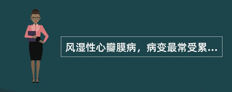 风湿性心瓣膜病，病变最常受累的瓣膜类型是（　　）。