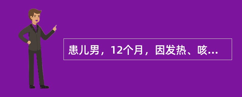 患儿男，12个月，因发热、咳嗽2天入院。查体：T39.6℃，P136次/分，R36次/分，精神软，面色稍发白，口唇略紫，两肺闻及细小湿啰音及痰鸣音，心音有力，律齐，腹略胀，肝肋下0cm，质软。血象：白