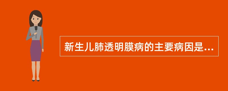 新生儿肺透明膜病的主要病因是（　　）。