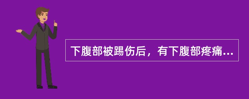 下腹部被踢伤后，有下腹部疼痛和排尿痛，无排尿障碍。体检：下腹部有压痛，无肌紧张，尿中红细胞满视野。考虑为（　　）。
