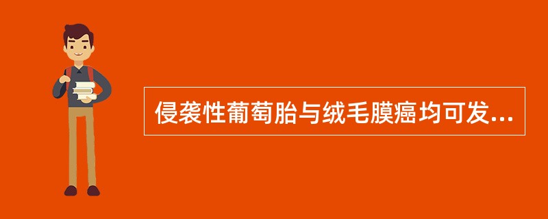 侵袭性葡萄胎与绒毛膜癌均可发生于（　　）。