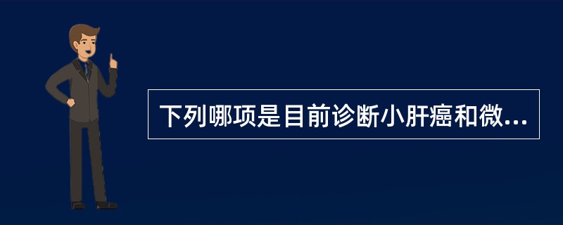 下列哪项是目前诊断小肝癌和微小肝癌的最佳检查方法？（　　）