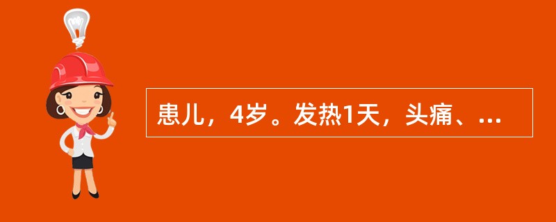 患儿，4岁。发热1天，头痛、呕吐2小时。查体可见皮肤有出血点，脑膜刺激征阳性。小儿最可能的诊断是