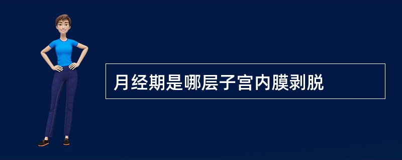 月经期是哪层子宫内膜剥脱