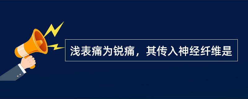 浅表痛为锐痛，其传入神经纤维是