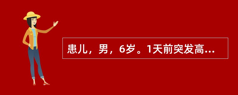 患儿，男，6岁。1天前突发高热，体温达39℃，伴有咽痛、吞咽痛。今晨发现耳后、颈部及上胸部出现分布均匀的丘疹，舌头肿胀，呈杨梅舌。正确的护理措施是（　　）。