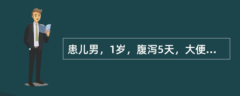 患儿男，1岁，腹泻5天，大便4～5次/天，为黄色稀水便，含脓血及黏液。体检：体温38.7℃，皮肤弹性尚可，心肺正常。大便镜检：大量红白细胞。考虑该患儿腹泻的原因可能是