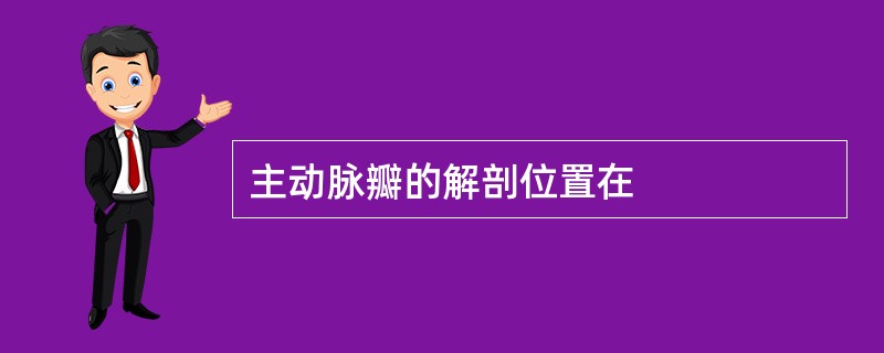 主动脉瓣的解剖位置在
