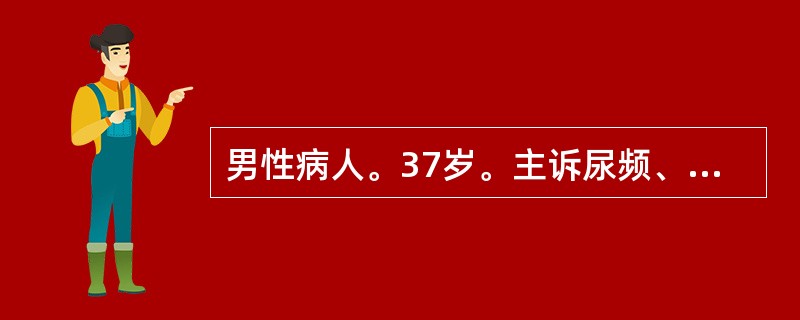 男性病人。37岁。主诉尿频、尿急、尿痛半年，夜尿5～6次/夜，尿检白细胞（++）、红细胞（++++）。为帮助诊断最需要的检查为（　　）。