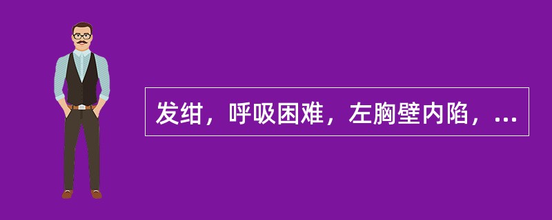 发绀，呼吸困难，左胸壁内陷，反常呼吸运动（　　）。