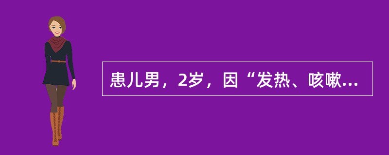 患儿男，2岁，因“发热、咳嗽4天，呕吐2天，惊厥1次”收入院。患儿4天前出现咳嗽、咳痰，伴发热，体温38.9℃。2天前出现呕吐，烦躁不安。今晨起抽搐1次，双目凝视、四肢抖动、呼之不应，持续2～3分钟自