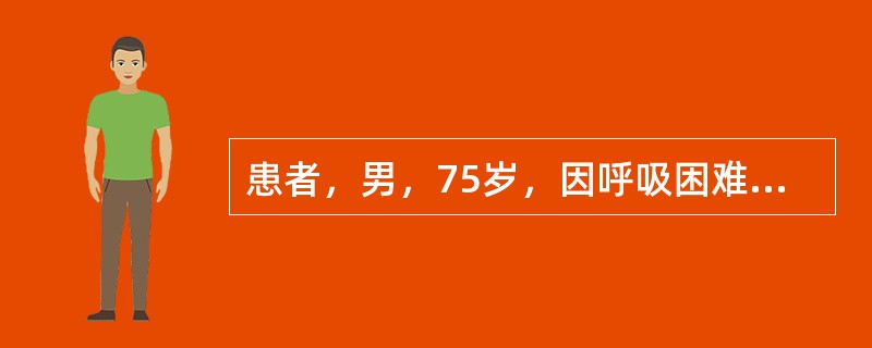 患者，男，75岁，因呼吸困难，发绀明显入院，诊断为Ⅱ型呼吸衰竭。Ⅱ型呼吸衰竭患者的血气分析结果是（　　）。