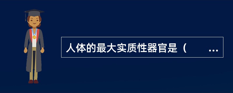 人体的最大实质性器官是（　　）。