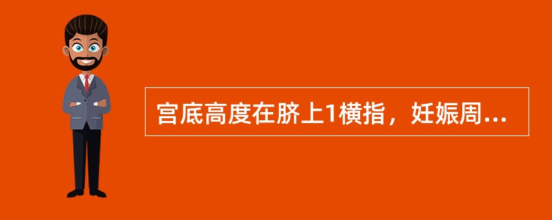 宫底高度在脐上1横指，妊娠周数应是（　　）。