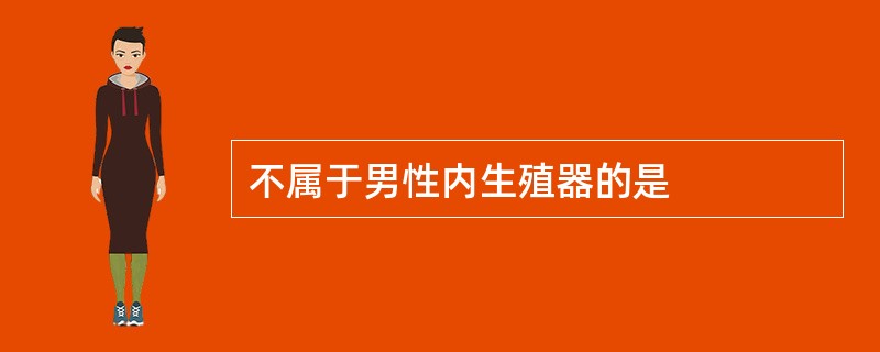 不属于男性内生殖器的是