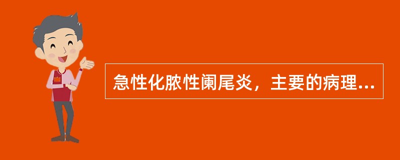 急性化脓性阑尾炎，主要的病理改变是指