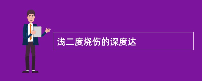 浅二度烧伤的深度达