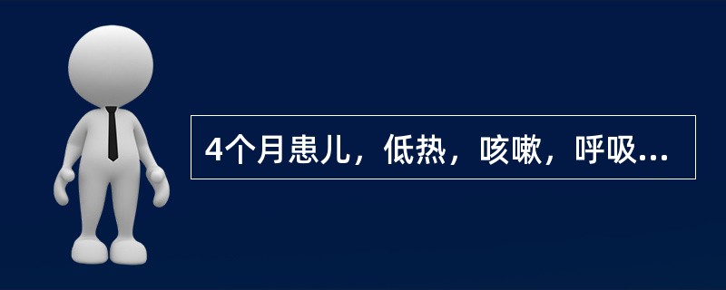 4个月患儿，低热，咳嗽，呼吸急促，呼气延长，双肺可闻及大量哮鸣音及中小水泡音，胸部X线检查见不同程度的肺充气过度或肺不张，最可能的诊断为