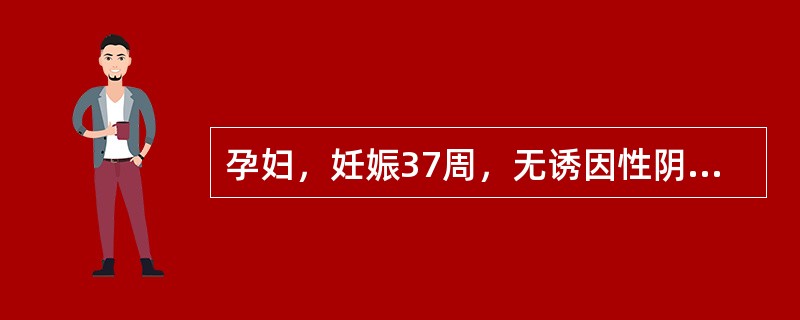 孕妇，妊娠37周，无诱因性阴道出血约200ml，腹部检查：腹软无压痛，胎位清楚，胎心158次/分，阴道可见少量活动性出血，最可能的诊断是