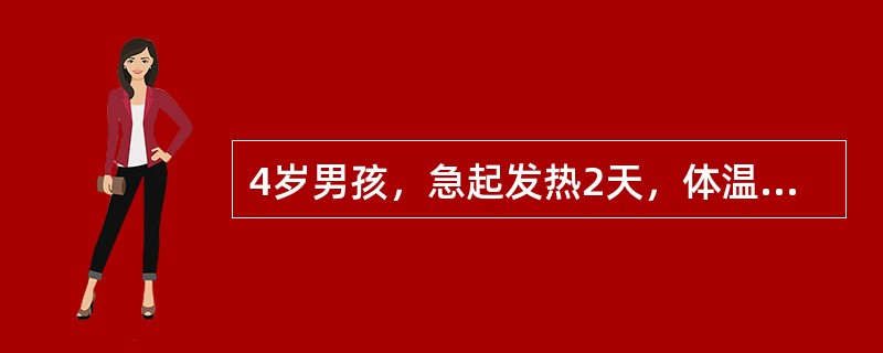 4岁男孩，急起发热2天，体温40℃，伴剧烈头痛，呕吐多次，体检：全身皮肤散在瘀斑，神志不清，谵妄，脑膜刺激征阳性，入院诊断为流脑。根据以上资料，应属于该病的哪一型