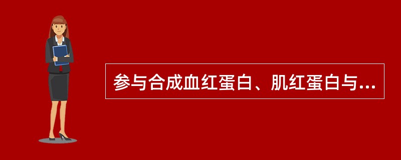 参与合成血红蛋白、肌红蛋白与细胞色素A的物质是（　　）。