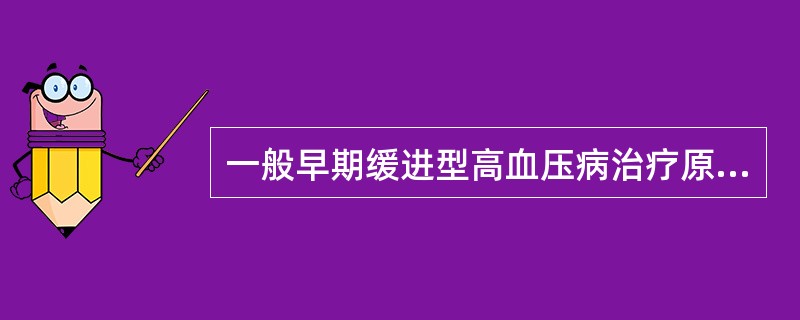 一般早期缓进型高血压病治疗原则中，以下哪项不是辅助治疗？（　　）