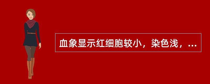 血象显示红细胞较小，染色浅，中央淡染区扩大的是（　　）。