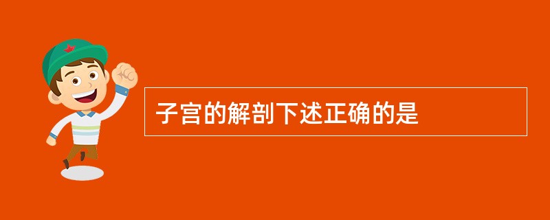 子宫的解剖下述正确的是