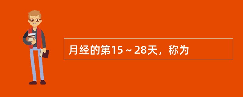 月经的第15～28天，称为