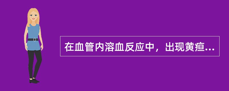 在血管内溶血反应中，出现黄疸、血红蛋白尿的原因是（　　）。