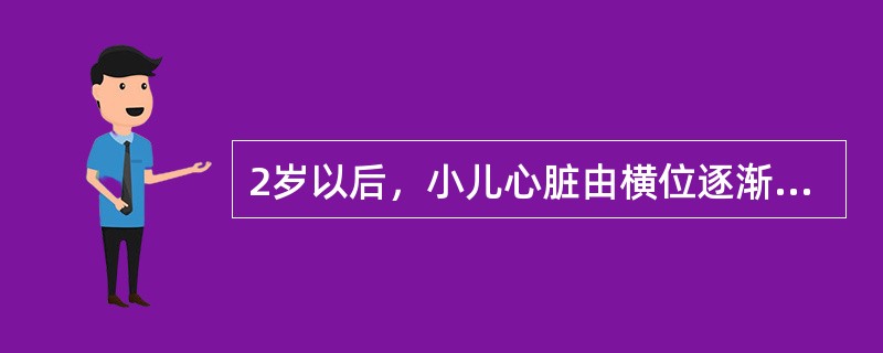 2岁以后，小儿心脏由横位逐渐转成斜位，心尖搏动在