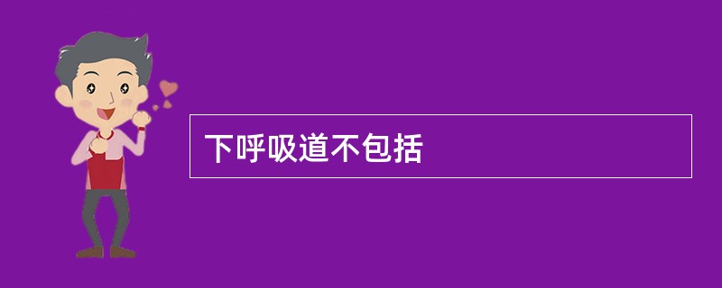 下呼吸道不包括