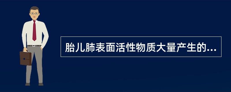 胎儿肺表面活性物质大量产生的时间为