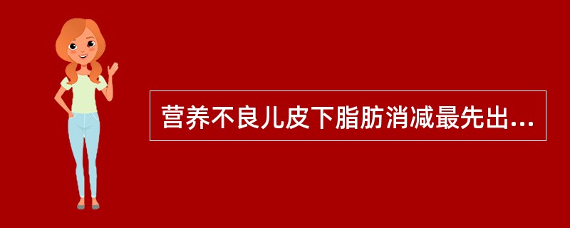 营养不良儿皮下脂肪消减最先出现的部位