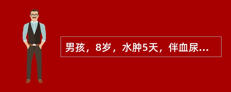 男孩，8岁，水肿5天，伴血尿、尿少3天入院。体检：颜面、双下肢明显水肿，烦躁、气促，呼吸32次/分，心率110次/分，两肺底可闻少量湿啰音，血压120/80mmHg，肝肋下1cm。尿常规：蛋白（+），