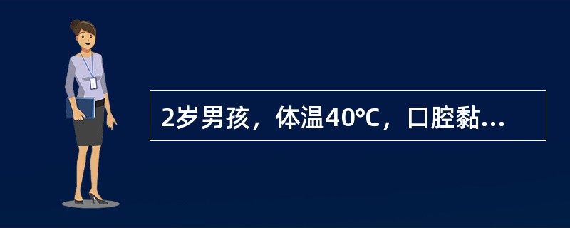 2岁男孩，体温40℃，口腔黏膜见小疱疹，疼痛较剧烈