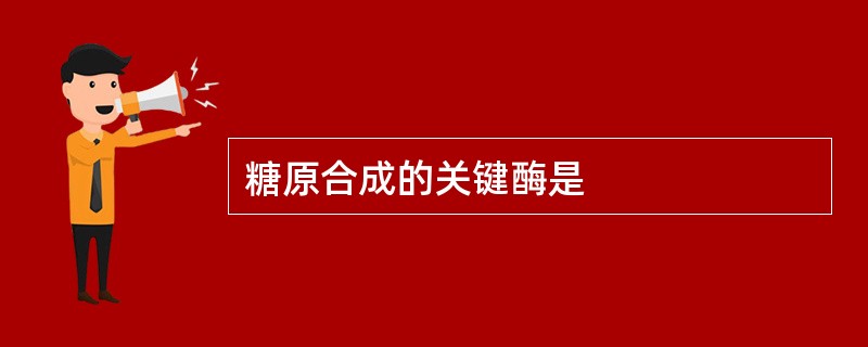 糖原合成的关键酶是