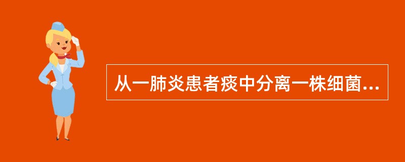 从一肺炎患者痰中分离一株细菌，血平板生长出灰白无溶血菌落，易从培养基上刮下，革兰阴性双球菌，氧化酶阳性，硝酸盐还原阳性，不分解糖类，它是