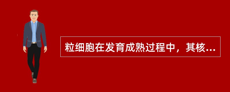 粒细胞在发育成熟过程中，其核形状的变化特点是