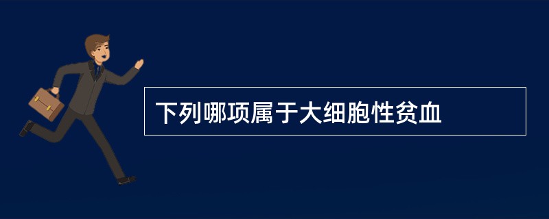 下列哪项属于大细胞性贫血