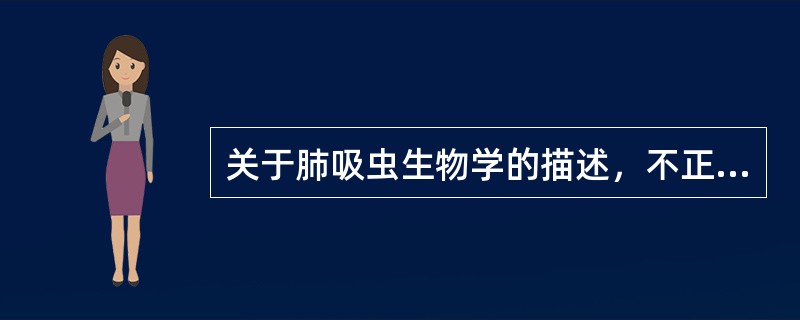 关于肺吸虫生物学的描述，不正确的是