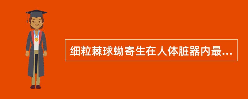 细粒棘球蚴寄生在人体脏器内最常见部位为