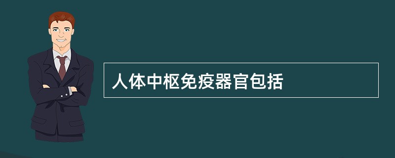 人体中枢免疫器官包括