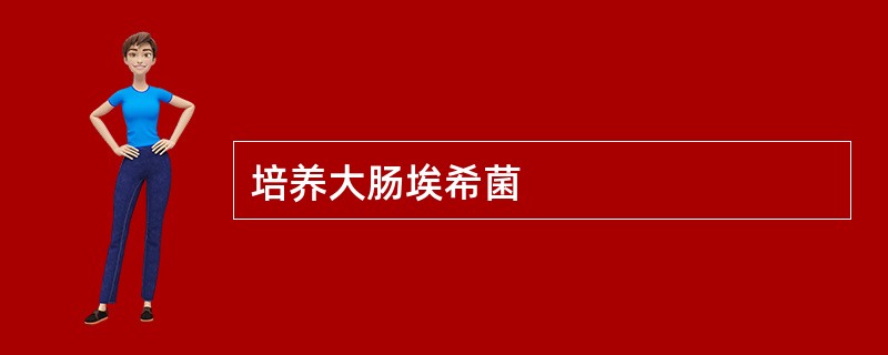 培养大肠埃希菌
