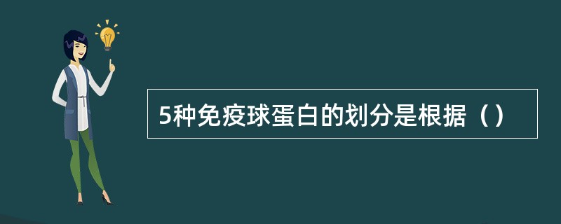 5种免疫球蛋白的划分是根据（）