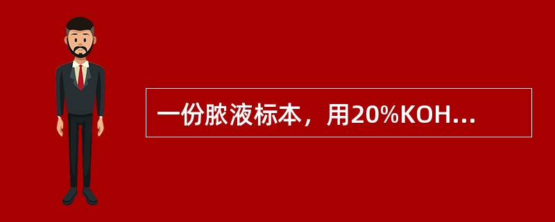 一份脓液标本，用20%KOH涂片后镜检，可见厚壁酵母细胞，细胞内可见脂肪小滴，可疑为