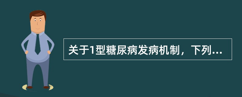 关于1型糖尿病发病机制，下列叙述正确的是