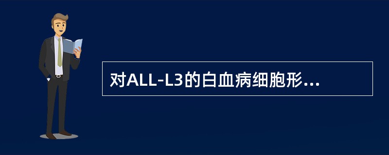 对ALL-L3的白血病细胞形态特点描述正确是